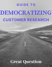 democratization guide header